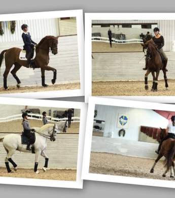 Image: 2017-09/pl-norr-sep.jpg