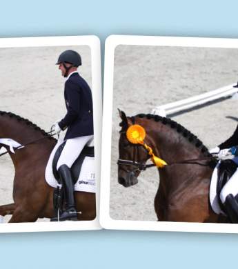 Image: 2017-10/seger-6-7.jpg