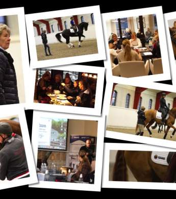 Image: 2018-01/collage-storsamling.jpg