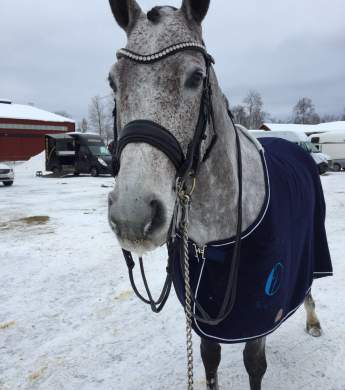 Image: 2018-03/unknown-18.jpeg