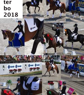 Image: 2018-07/1532091037_falsterbo-2.jpg
