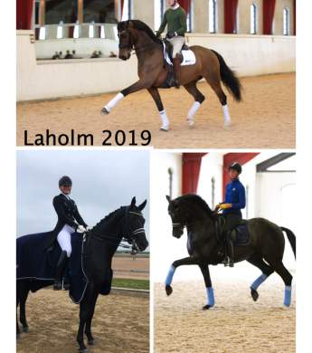 Image: 2019-05/laholm.jpg