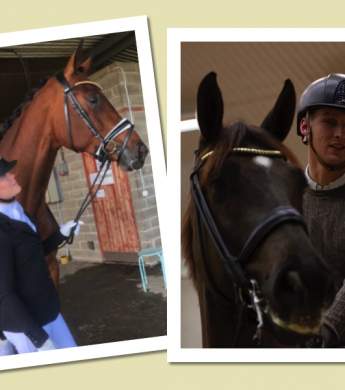 Image: 2019-06/delad-3.jpg