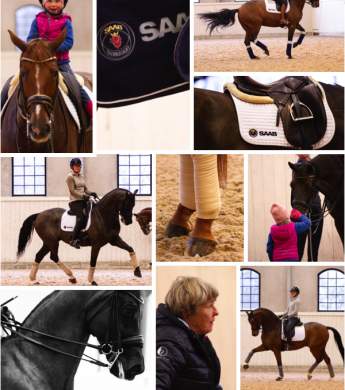 Image: 2019-11/kk-nov.jpg