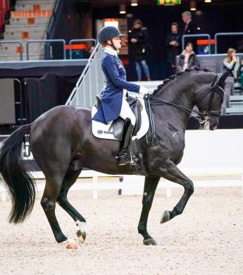 Image: 2020-02/17dffe86-a20e-46c8-9064-81165992093e.jpg