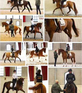 Image: 2020-02/pl-feb-20.jpg