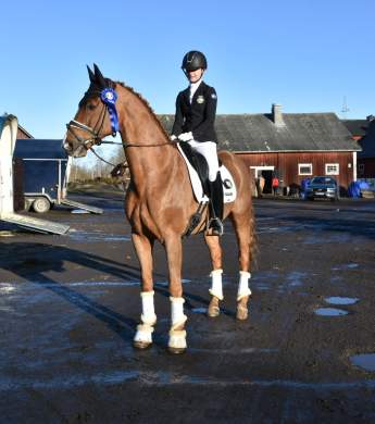 Image: 2020-02/unknown-1.jpeg