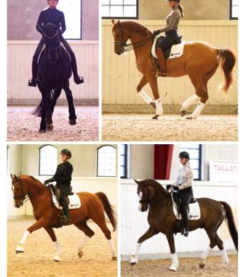 Image: 2020-03/-storp-20.jpg