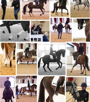 Image: 2020-03/1584106048_kk-mars-20.jpg