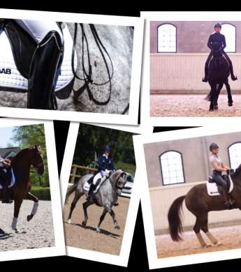 Image: 2020-03/1584365810_str-msholm-20.jpg