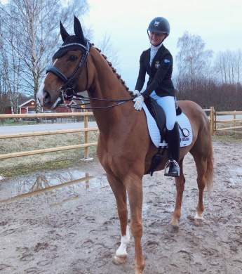 Image: 2020-03/95399ae1-f0e6-4d56-9190-84b8469e78e5-2-kopia-.jpg