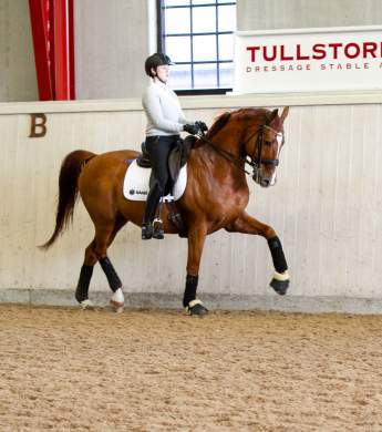 Image: 2020-03/img-9924-catharinabrink.jpg