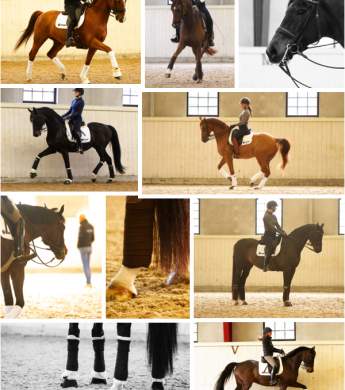 Image: 2020-03/pl-mars-20.jpg