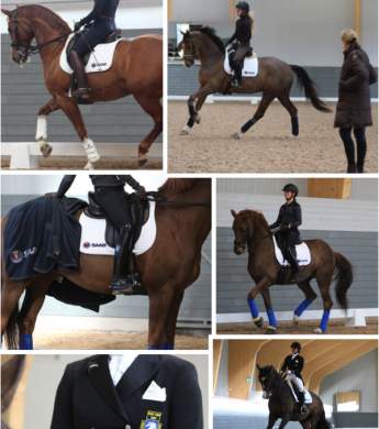 Image: 2020-05/pl-norr-maj-20.jpg