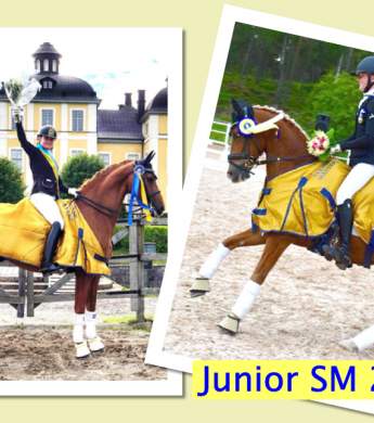 Image: 2020-07/1595496161_sm.jpg