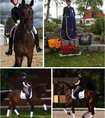 Image: 2020-07/laholm-20.jpg