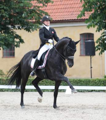 Image: 2020-08/unknown-1.jpeg