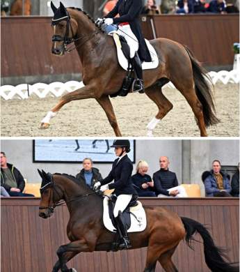 Image: 2023-10/cathrine-ok-23.jpg