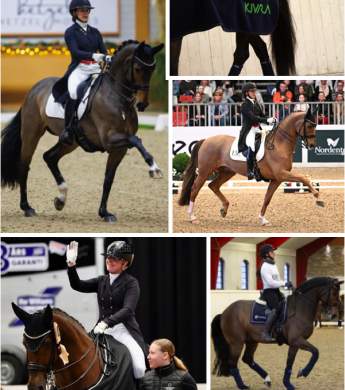 Image: 2024-03/herning-24.jpg