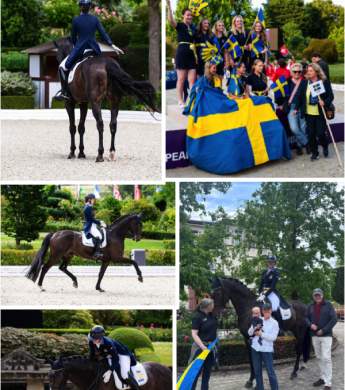 Image: 2025-07/1753293483_u25-em-25.jpg