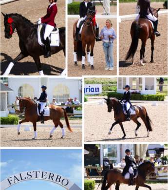 Image: 2025-07/falsterbo-25.jpg