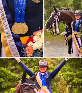 Image: 2025-07/nm.jpg