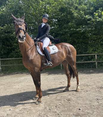 Image: 2025-07/unknown-144.jpeg