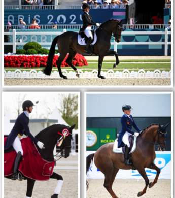 Image: 2025-08/em-25.jpg