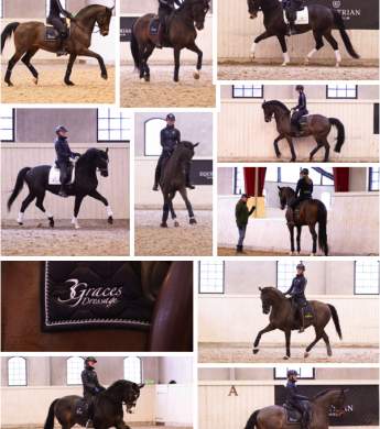 Image: 2026-02/pl-jan-26.jpg