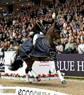 Image: 2026-03/sk-rmavbild-2026-03-11-kl.-08.49.44.png