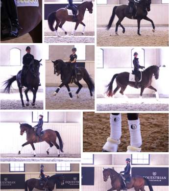 Image: 2026-04/pl-mar-26.jpg