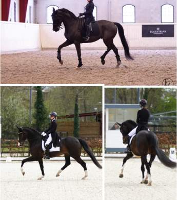 Image: 2026-04/tolbert-26.jpg