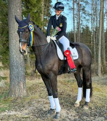 Image: 2026-04/unknown-39.jpeg